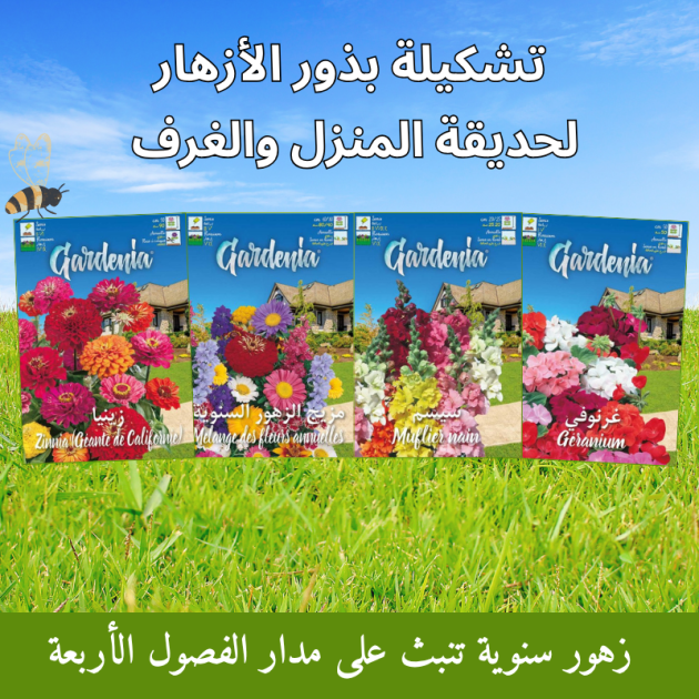 تشكيلة 4 أنواع زهور